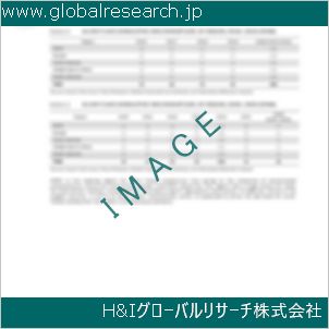 グローバルリサーチ調査資料のイメージ